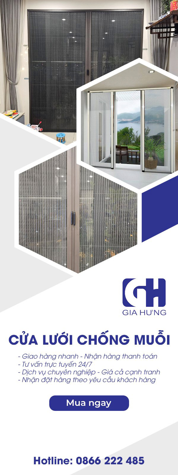 Cửa lưới chống muỗi